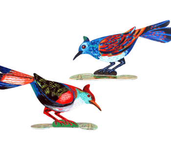 דוד גרשטיין David Gerstein דגם יצירה ציפור מחוננת Gifted Bird