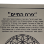 פוסטר פרח החיים