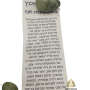  יוני סיניות הנחיות 1